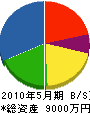 三昭電気工業 貸借対照表 2010年5月期