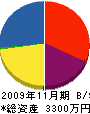 東光商会 貸借対照表 2009年11月期