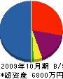 ライブワイヤー 貸借対照表 2009年10月期