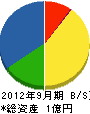 大松商事 貸借対照表 2012年9月期