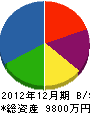 石松工業 貸借対照表 2012年12月期