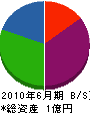 斉藤工務店 貸借対照表 2010年6月期