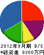 田中電工 貸借対照表 2012年9月期