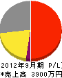 橋本 損益計算書 2012年9月期