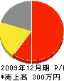 安田美塗装店 損益計算書 2009年12月期