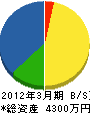 丸寿高橋組 貸借対照表 2012年3月期