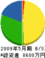 岡本組 貸借対照表 2009年5月期