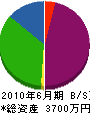 辰巳組 貸借対照表 2010年6月期