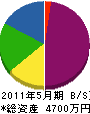 武井設備 貸借対照表 2011年5月期