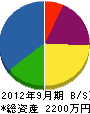 宮崎電気 貸借対照表 2012年9月期