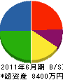 大竹建築 貸借対照表 2011年6月期