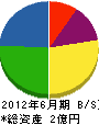 京葉パイピング 貸借対照表 2012年6月期