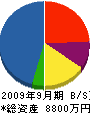 日本興発 貸借対照表 2009年9月期