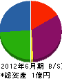 柳田建設 貸借対照表 2012年6月期