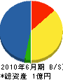 松前土建 貸借対照表 2010年6月期