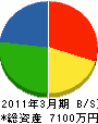 湘南シティホーム 貸借対照表 2011年3月期