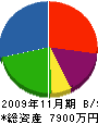 八洲工業 貸借対照表 2009年11月期