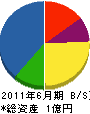 崎浜電工 貸借対照表 2011年6月期