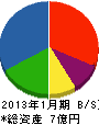 泉宣宏社 貸借対照表 2013年1月期