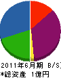 勝永建設 貸借対照表 2011年6月期