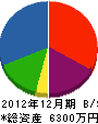 日本海建設 貸借対照表 2012年12月期