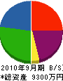 広江 貸借対照表 2010年9月期 広江 貸借対照表 2010年9月期