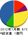 昭和通信サービス 貸借対照表 2012年1月期