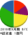 渡辺建設工務 貸借対照表 2010年9月期