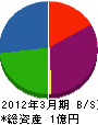 長瀬電業 貸借対照表 2012年3月期