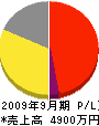 飯島電気 損益計算書 2009年9月期