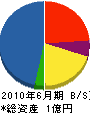 龍友建設 貸借対照表 2010年6月期