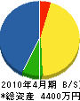 斎藤電工 貸借対照表 2010年4月期