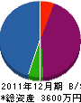 行政塗装店 貸借対照表 2011年12月期