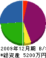 成澤工業 貸借対照表 2009年12月期