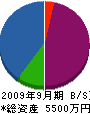 安藤雄建設 貸借対照表 2009年9月期
