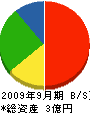 中田興業 貸借対照表 2009年9月期