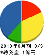 阿部電機 貸借対照表 2010年8月期 阿部電機 貸借対照表 2010年8月期