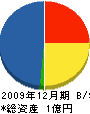 竹村工務所 貸借対照表 2009年12月期