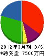 ヤマソウヨコハマ 貸借対照表 2012年3月期