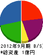 大熊電機 貸借対照表 2012年9月期