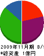 関西エムアイ 貸借対照表 2009年11月期