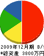 栄和産業 貸借対照表 2009年12月期