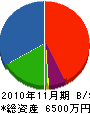 日研防災 貸借対照表 2010年11月期