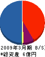 横山工務店 貸借対照表 2009年3月期