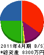 坂本吹付工業 貸借対照表 2011年4月期