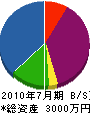 松楽園 貸借対照表 2010年7月期