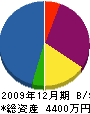 池島製材所 貸借対照表 2009年12月期