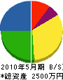 高千穂 貸借対照表 2010年5月期