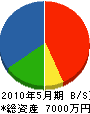 桃井電器店 貸借対照表 2010年5月期