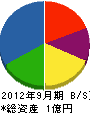 中村ソフトプラント 貸借対照表 2012年9月期